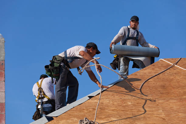 Best Gutter Installation and Roofing  in Homosassa Springs, FL