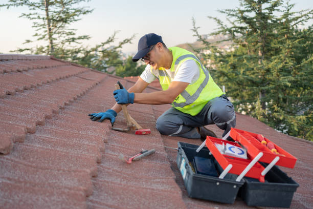 Quick and Trustworthy Emergency Roof Repair Services in Homosassa Springs, FL